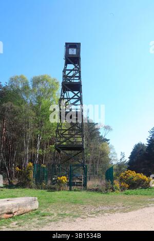 Ein sehr hoher hölzerner Aussichtspunkt aus der Zeit, als der Turm höher war als die Bäume, was eine gute Ansichtslinie für die Beobachtung möglicher Brände bot. Stockfoto