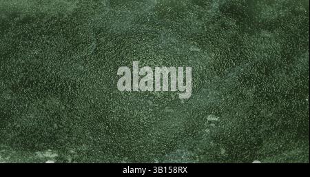 Abstrakter grüner strukturierter Hintergrund mit kleinen Unebenheiten, die ein konzentrisches Muster erzeugen, ideal für Designprojekte. Weißrussland Stockfoto