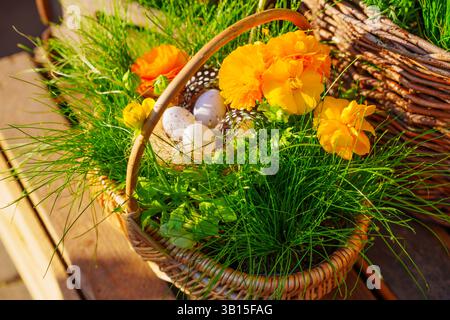 Lebendiger Osterkorb gefüllt mit bunten Blumen, dekorativen Eiern und frischem Gras, gefangen im warmen Nachmittagslicht auf einem rustikalen Holztisch. Stockfoto
