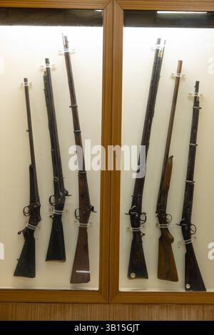 Einige Gewehre, die eine Vielzahl von Waffen zeigen, wie z. B. Feuerstein, Muskete, Matchschloss, Mündungsladung, Mündung. Stockfoto