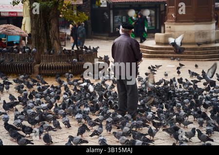 Sarajevo, Bosnien - 2. Dezember 2022: Eine lebhafte Menge von Tauben versammelte sich auf einem geschäftigen Stadtplatz und zeigte ihre lebhaften Interaktionen Stockfoto