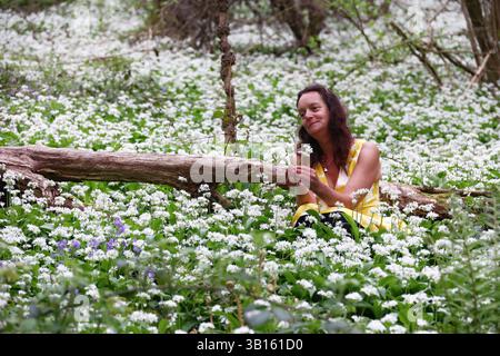 Doddiscombsleigh, Devon, Großbritannien. 25. April 2025. Wetter in Großbritannien: Raich Keene in einem Meer von frischem wildem Knoblauch, Doddiscombsleigh, Devon. Gutschrift Stockfoto