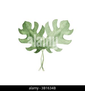 Monstera Bouquet. Tropische Blätter Aquarellkomposition. Handgezeichnete botanische Illustration isoliert auf weißem Hintergrund. Für Karten, Einladungen Stockfoto