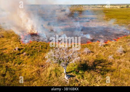 Luftaufnahme eines Buschfeuers im Okavango Delta, Botswana, Okavango Delta Stockfoto
