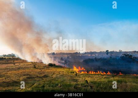 Luftaufnahme eines Buschfeuers im Okavango Delta, Botswana, Okavango Delta Stockfoto