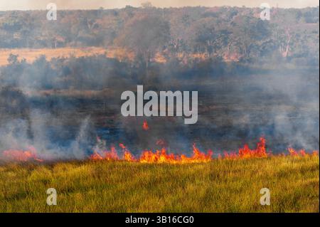 Luftaufnahme eines Buschfeuers im Okavango Delta, Botswana, Okavango Delta Stockfoto