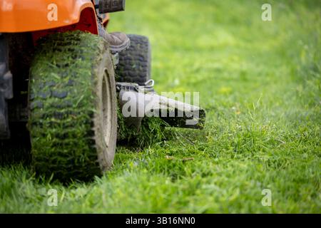 Man bedient einen Aufsitzmäher und schneidet Gras in üppig grünen Feldern. Das Mähdeck spuckt überall frisch geschnittenes Gras Stockfoto