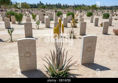 ALAMEIN, ÄGYPTEN - 23. MÄRZ 2010 : neuseeländische Infanterie-Kriegsgräber auf dem El Alamein Kriegsfriedhof in Alamein in Ägypten. El Alamein war Cemetery enthält Stockfoto