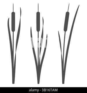 Satz von Schwarz-weiß-Illustrationen mit Raubkatzen, Schilf. Isolierte Vektorobjekte auf weißem Hintergrund. Stock Vektor