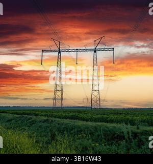 Überlandleitung auf einem Übertragungsturm auf dem Feld der jungen Sonnenblumen bei farbenfrohem Sonnenuntergang in der Ukraine. Landschaftlich reizvolle Abendlandschaft der Ukraine Stockfoto