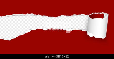 Gerissenes Papierloch. Gerissenes Papierblatt wellt sich mit abgerissener Kante. Loch in gerissener Seite mit gerolltem Streifen. Dokumentblatt wurde zerstört. Vektor-3D-Bannervorlage mit Platz für Text. Stock Vektor