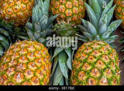 Reife Ananas im Angebot Stockfoto