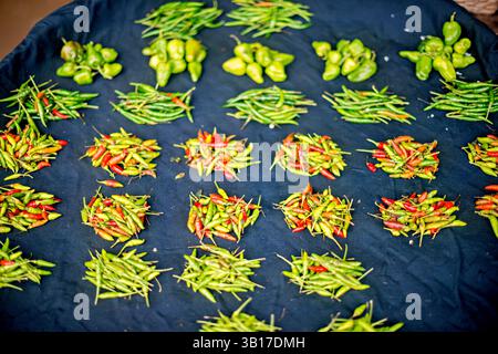 Chili-Pfeffer zum Verkauf Zegyo Markt Mandalay Myanmar | MANDALAY, Myanmar — Ordentliche Stapel von Chili-Pfeffern, sortiert nach Sorte und Farbe, bedecken ein Tuch eines Händlers auf dem Zegyo-Markt, dem wichtigsten Handelszentrum von Mandalay seit der Gründung der Stadt in den 1860er Jahren. Chili ist eine Grundlage der burmesischen Küche, frisch und getrocknet in Currys, Gewürzen und eingelegten Gerichten verwendet, und getrockneter Chili bleibt eines der meistverkauften Trockenwaren des Marktes neben Kichererbsen, Zwiebeln und Knoblauch. Stockfoto