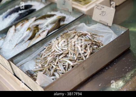 Frisch gefangener Aterina-Fisch zum Preis von 70 Euro, auf Eis auf einem traditionellen griechischen Fischmarkt auf Kreta Stockfoto