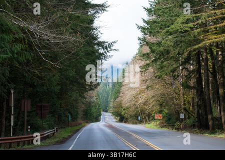 PORT ANGELES, WA, USA – 12. April 2025: Leere U.S. Route 101 oder U.S. Highway 101, die mitten im Hoh Rain Forest im Olympic National Park verläuft. Stockfoto