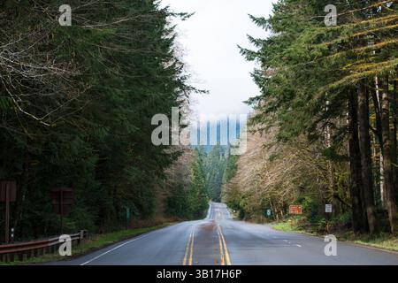 PORT ANGELES, WA, USA – 12. April 2025: Leere U.S. Route 101 oder U.S. Highway 101, die mitten im Hoh Rain Forest im Olympic National Park verläuft. Stockfoto