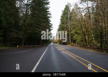 PORT ANGELES, WA, USA – 12. April 2025: Leere U.S. Route 101 oder U.S. Highway 101, die mitten im Hoh Rain Forest im Olympic National Park verläuft. Stockfoto