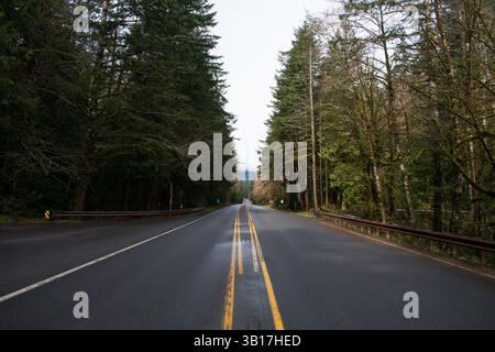PORT ANGELES, WA, USA – 12. April 2025: Leere U.S. Route 101 oder U.S. Highway 101, die mitten im Hoh Rain Forest im Olympic National Park verläuft. Stockfoto