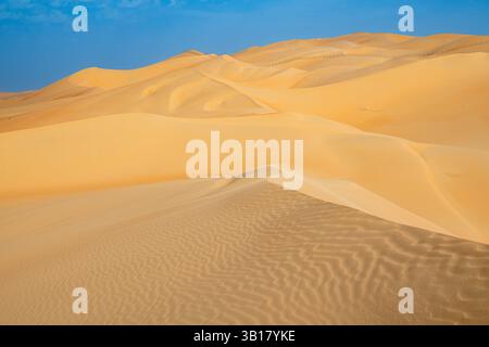 Ausflug in die Wüste, Moreeb Dune oder Tal Moreeb ist eine große Sanddüne in der Nähe der Liwa Oase in der Wüste Empty Quarter in den VAE Stockfoto
