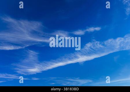 Elegante Zirruswolken schaffen ein zartes Muster vor einem leuchtend blauen Hintergrund Stockfoto