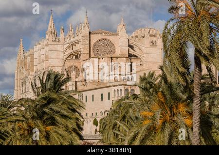 Catedral de Mallorca, siglo XIII, Monumento histórico - artístico, Palma, Mallorca, Balearen, Spanien, Europa. Stockfoto