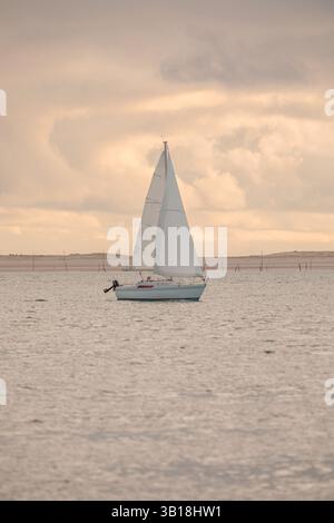 Segelboot auf dem Kanal Passe Sud in der Nähe der Düne von Pilat, Frankreich Stockfoto