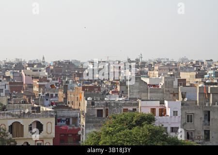 Blick von der Dachterrasse auf die Stadt Jaipur, Rajasthan, Indien Stockfoto