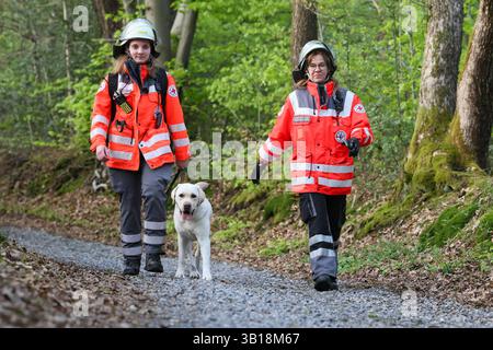 Große Suchaktion mit zahlreichen Rettungshunden aus ganz NRW Großeinsatz am Freitagabend gegen 18 Uhr in einem Waldgebiet zwischen Wuppertal-Cronenberg und Remscheid-hasten ein Zeuge hatte zuvor einen älteren, offensichtlich verwirrten, Herr gemeldet, welcher auf Ansprache nicht reagiert hatte. Weil die Polizei mit Streifenwagen und auch mit einem Polizeihubschrauber den Mann nicht finden konnte alarmierten die Beamten am Freitagabend die Hilfsorganisationen Deutsches Rotes Kreuz und Johanniter Unfallhilfe, welche mit einem Großaufgebot von Rettungshunden aus dem ganzen Land anrückten. Matrize Su Stockfoto