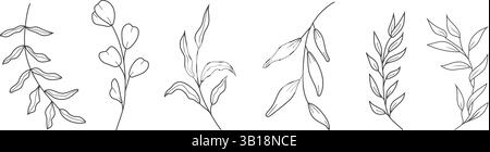 Botanische Stylenkunst-Illustration mit handgezeichneten Kräutern und Zweigen. Ein minimalistisches Vektor-Clipart-Set mit Blumenmuster, perfekt für elegante und natürliche Themen Stock Vektor