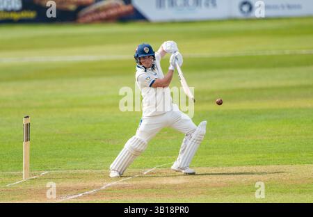 Harry spielte für Derbyshire in einem County Championship-Spiel zwischen Derbyshire und Middlesex Stockfoto