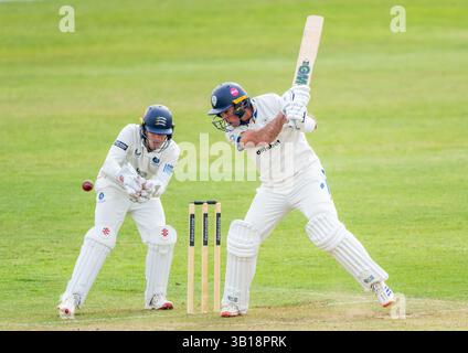 Wayne Madsen spielte für Derbyshire, beobachtet von Keeper Jack Davies in einem County Championship-Spiel zwischen Derbyshire und Middlesex Stockfoto