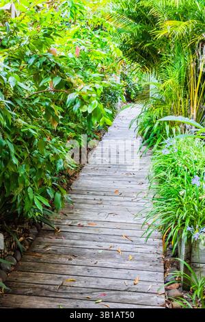 Holzbalkensteg durch einen begrünten Garten um ein Wohnhaus in Australien. Stockfoto