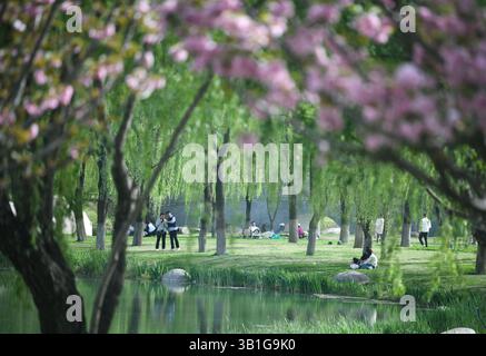 Peking, chinesische Provinz Shaanxi. April 2025. Menschen genießen ihre Freizeit in einem Park in Xi'an, nordwestchinesische Provinz Shaanxi, 8. April 2025. Quelle: Zhang Bowen/Xinhua/Alamy Live News Stockfoto