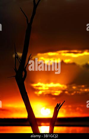 Sonnenuntergang über dem See Ninan, Western Australia Stockfoto