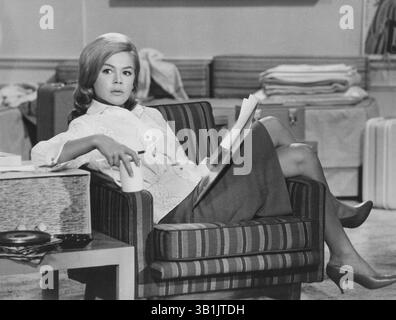 November 2010 - SANDRA DEE 1963.“ NEHMEN SIE SIE, SIE gehört MIR (Foto: © Globe Photos/ZUMApress.com) Stockfoto