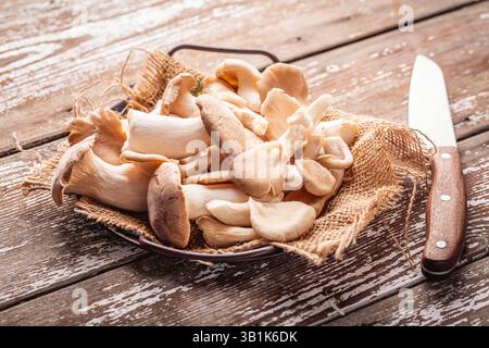Variation von Speisepilzen auf hölzernem Hintergrund. Shiitake, Champignon, Stachelschweine und Austernpilze Stockfoto