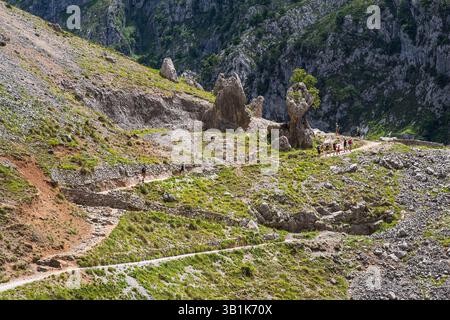 Berglandschaft in der Cares-Schlucht in Spanien mit ihren felsigen Klippen und Vegetation Stockfoto