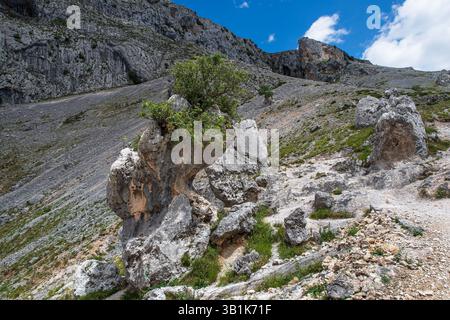Berglandschaft in der Cares-Schlucht in Spanien mit ihren felsigen Klippen und Vegetation Stockfoto