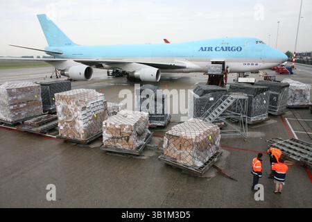 Mai 2008 - Amsterdam, Niederlande - Frachtflugzeuge werden am Flughafen schiphol geladen (Foto: © Ton Koene/ZUMApress.com) Stockfoto