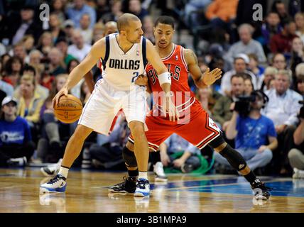 19. November 2010: Dallas Mavericks Point Guard Jason Kidd #2 wird von Chicago Bulls Point Guard Derrick Rose #1 während eines NBA-Spiels zwischen den Chicago Bulls und den Dallas Mavericks im American Airlines Center in Dallas verteidigt, TX Chicago besiegte Dallas 88–83(Credit Image: © Albert Pena/Cal Sport Media/ZUMAPRESS.com) Stockfoto