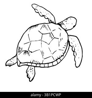 Meeresschildkröte der tropischen Meere, schwarz-weiße Tinte Skizze. Vektorabbildung. Ein großes, luftatmendes Reptil mit einer Schale, isoliert auf einem weißen bac Stock Vektor