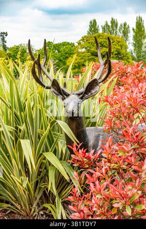 Eine Bronzeskulptur eines Hirsches mit Geweih ist ein Schwerpunkt im Garten Stockfoto