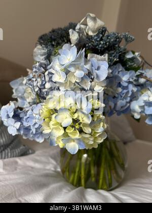 Das Foto zeigt einen Blumenstrauß aus hellblauen und blassgelben Hortensie-Blüten in einer runden, transparenten Glasvase, die auf einer weißen Stoffoberfläche liegt. Einige d Stockfoto