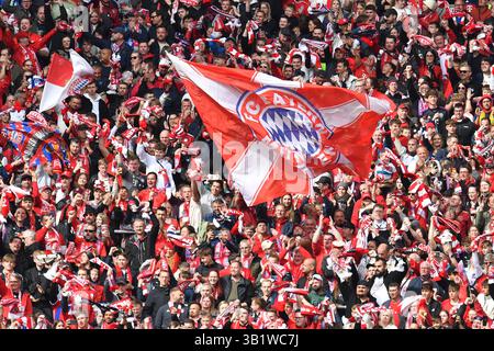 München, Deutschland. April 2025. MÜNCHEN – 26. APRIL: Fans des FC Bayern München beim Bundesliga-Spiel zwischen dem FC Bayern München und dem 1. APRIL. FSV Mainz 05 in der Allianz Arena am 26. April 2025 in München.250426 SEPA 24 027 - 20250426 PD9218 Credit: APA-PictureDesk/Alamy Live News Stockfoto