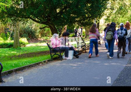 Belfast Co. Antrim Northern Ireland 23. April 2025 - Menschen, die in den Botanischen Gärten von Belfast spazieren gehen und sich unterhalten Stockfoto