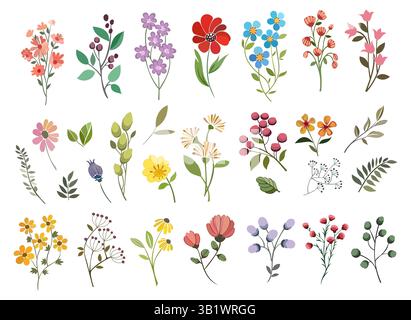 Wilde botanische Elemente Set Stock Vektor