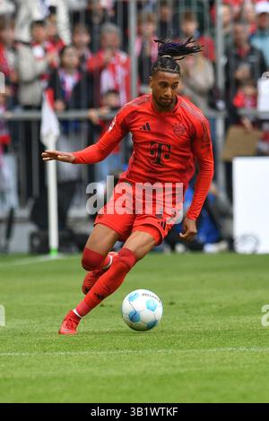 München, Deutschland. April 2025. MÜNCHEN, DEUTSCHLAND - 26. APRIL: Michael Olise von Bayern München während des Bundesliga-Spiels zwischen dem FC Bayern München und dem 1. APRIL. FSV Mainz 05 in der Allianz Arena am 26. April 2025 in München.250426 SEPA 24 056 - 20250426 PD11567 Credit: APA-PictureDesk/Alamy Live News Stockfoto