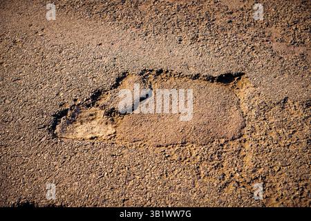 Nahaufnahme einer beschädigten Asphaltoberfläche Stockfoto