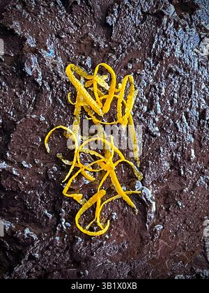 Orangenschale schmückt Schokoladenglasur auf einem Schokoladenkuchen (UK) Stockfoto