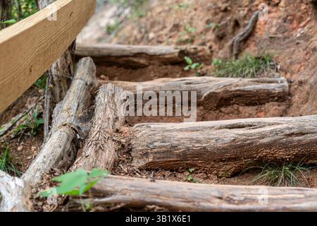Aus nächster Nähe sehen Sie rustikale Holztreppen, die in einen unbefestigten Wanderweg gebaut wurden, umgeben von kleinen grünen Pflanzen und zerklüfteter Erde. Die verwitterten Stämme erzeugen Stockfoto